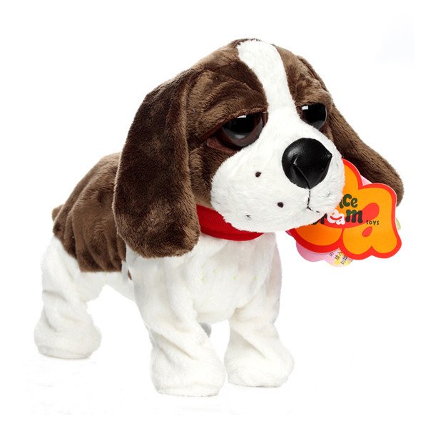 Pekingese