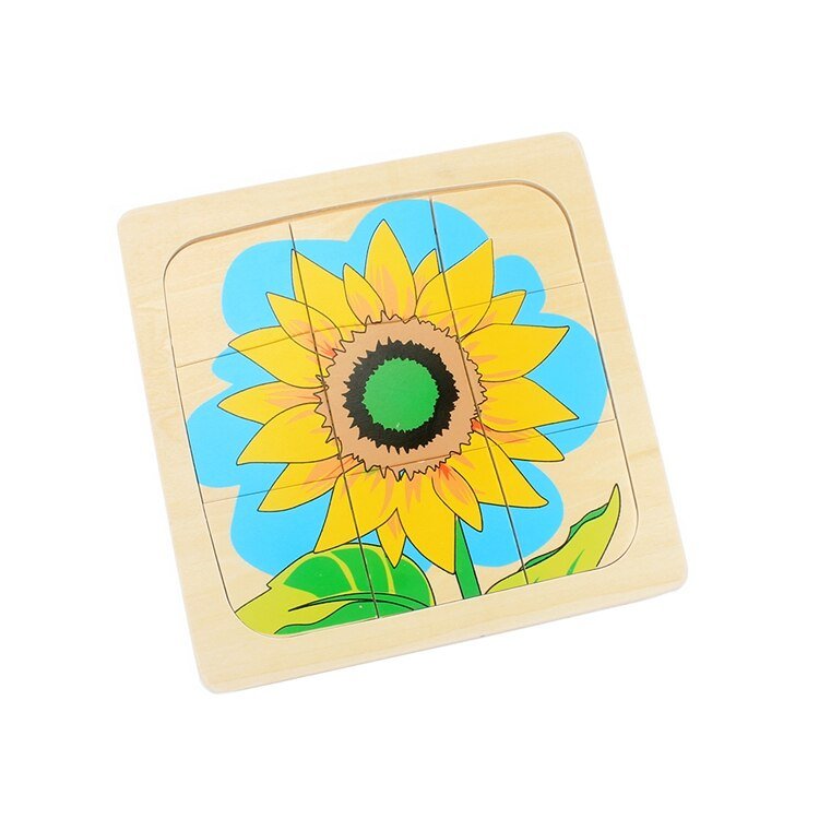 Plant's Life Cycle Puzzle